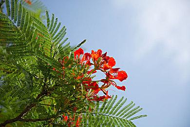 索尼将获得角川董事会席位 暂时不会再收购更多股份